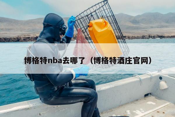 博格特nba去哪了（博格特酒庄官网）