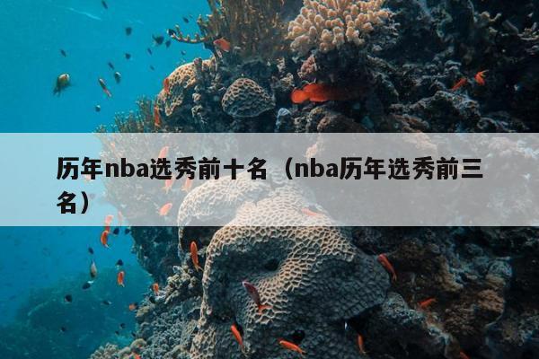 历年nba选秀前十名（nba历年选秀前三名）