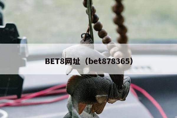 BET8网址（bet8网址入口）