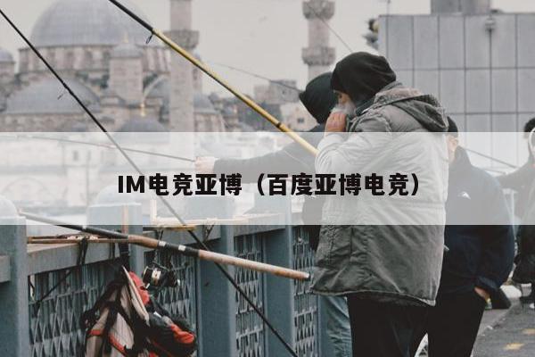 IM电竞亚博（百度亚博电竞）