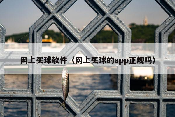 网上买球软件（网上买球的app正规吗）