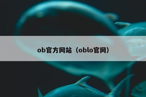 ob官方网站（oblo官网）