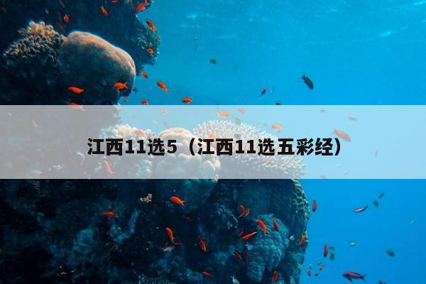 江西11选5（江西11选五）