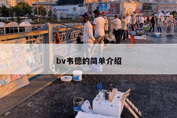 bv韦德的简单介绍