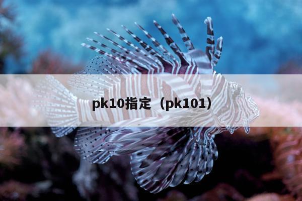 pk10指定（pk101）