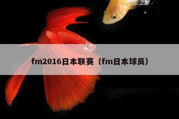 fm2016日本联赛（fm日本球员）