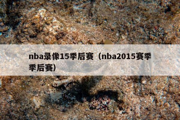 nba录像15季后赛（nba2015赛季季后赛）