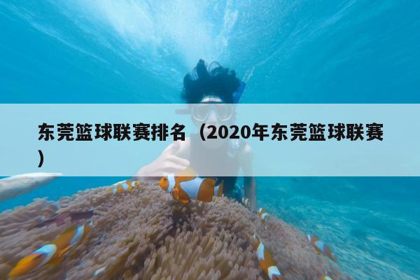 东莞篮球联赛排名（2020年东莞篮球联赛）