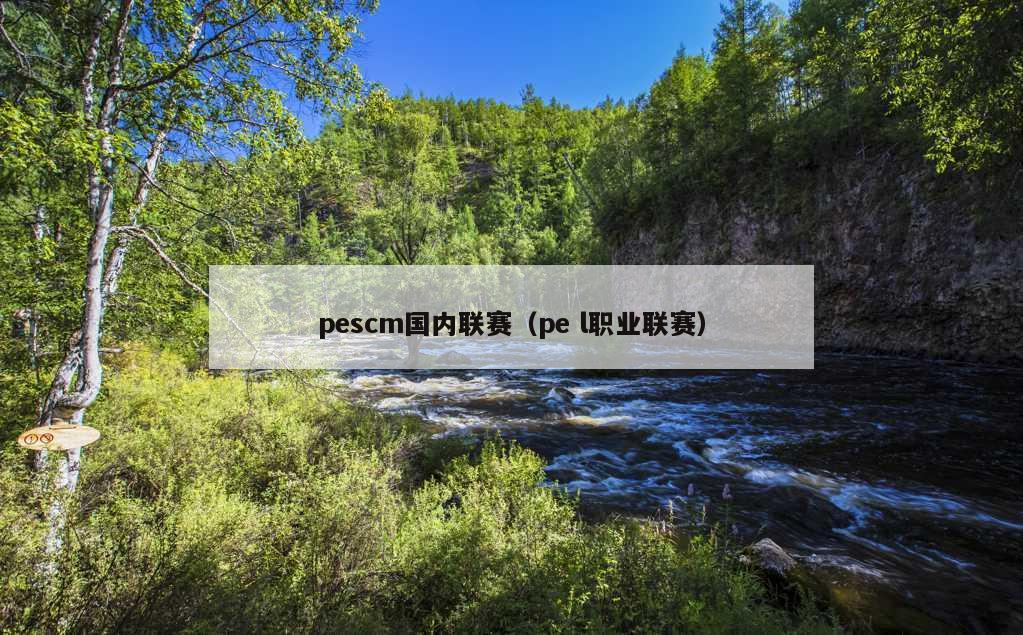 pescm国内联赛（pe l职业联赛）