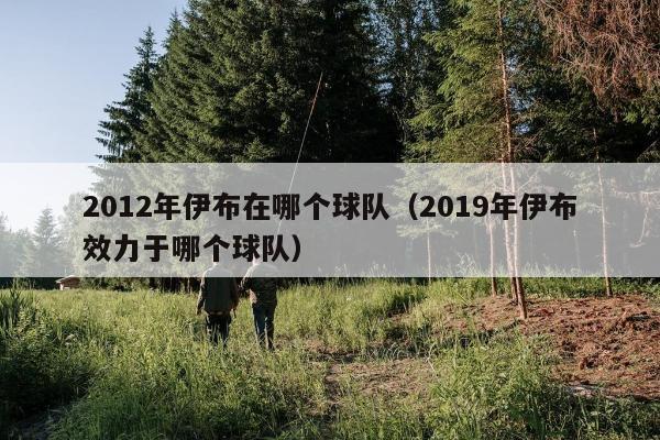 2012年伊布在哪个球队（2019年伊布效力于哪个球队）