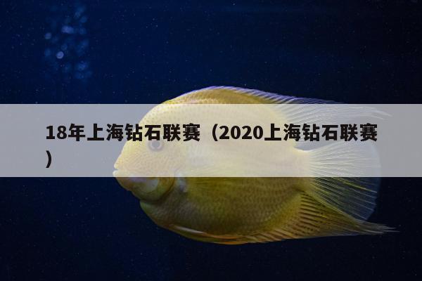 18年上海钻石联赛（2020上海钻石联赛）