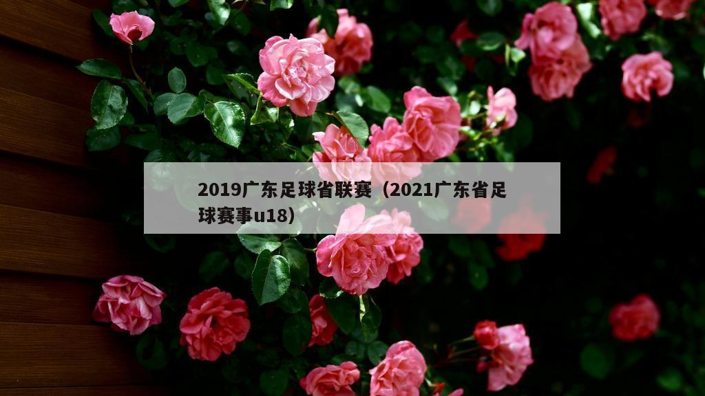 2019广东足球省联赛（2021广东省足球赛事u18）