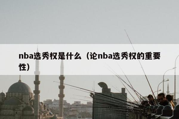 nba选秀权是什么（论nba选秀权的重要性）