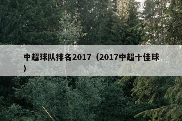 中超球队排名2017（2017中超十佳球）