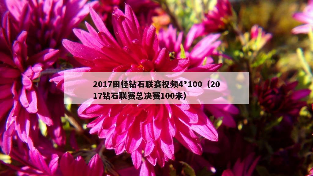 2017田径钻石联赛视频4*100（2017钻石联赛总决赛100米）