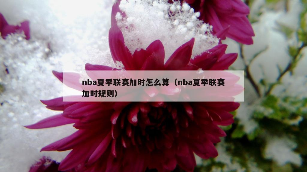 nba夏季联赛加时怎么算（nba夏季联赛加时规则）