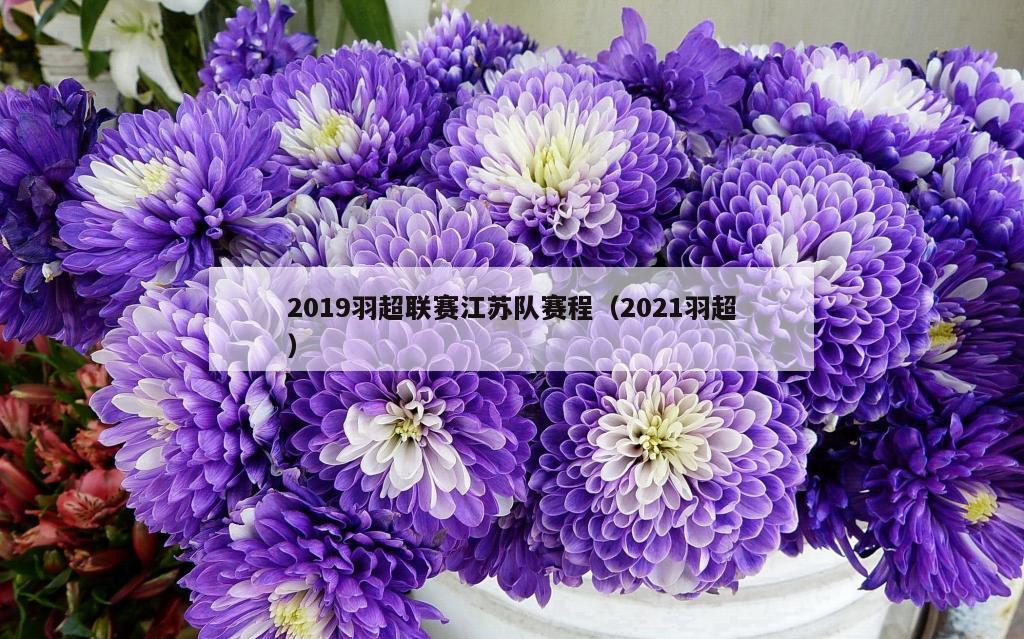 2019羽超联赛江苏队赛程（2021羽超）