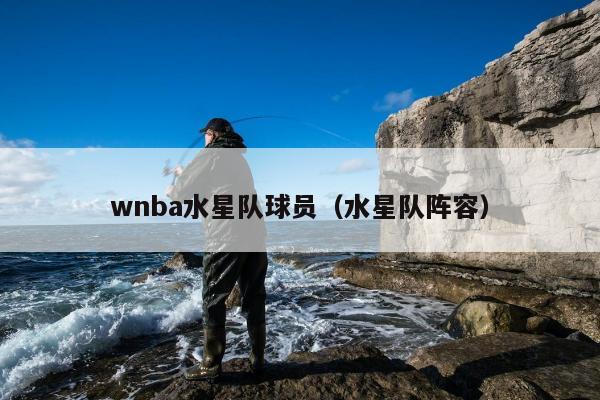 wnba水星队球员（水星队阵容）