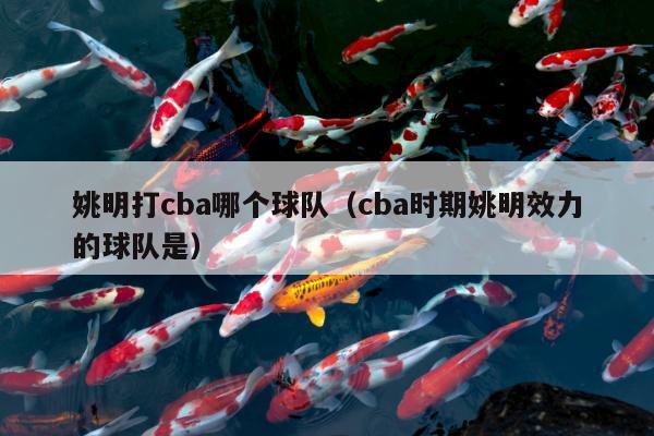 姚明打cba哪个球队（cba时期姚明效力的球队是）