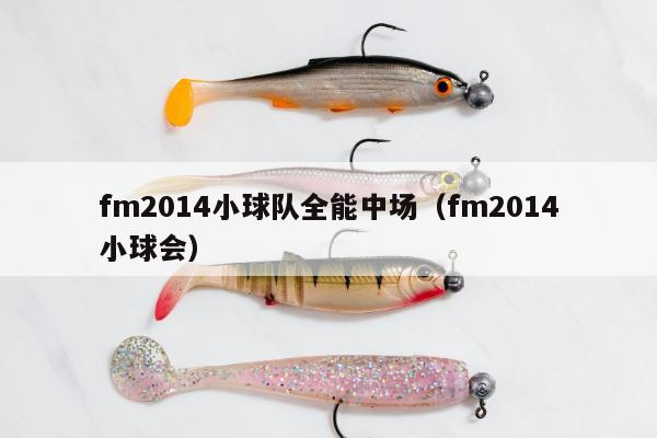 fm2014小球队全能中场（fm2014小球会）