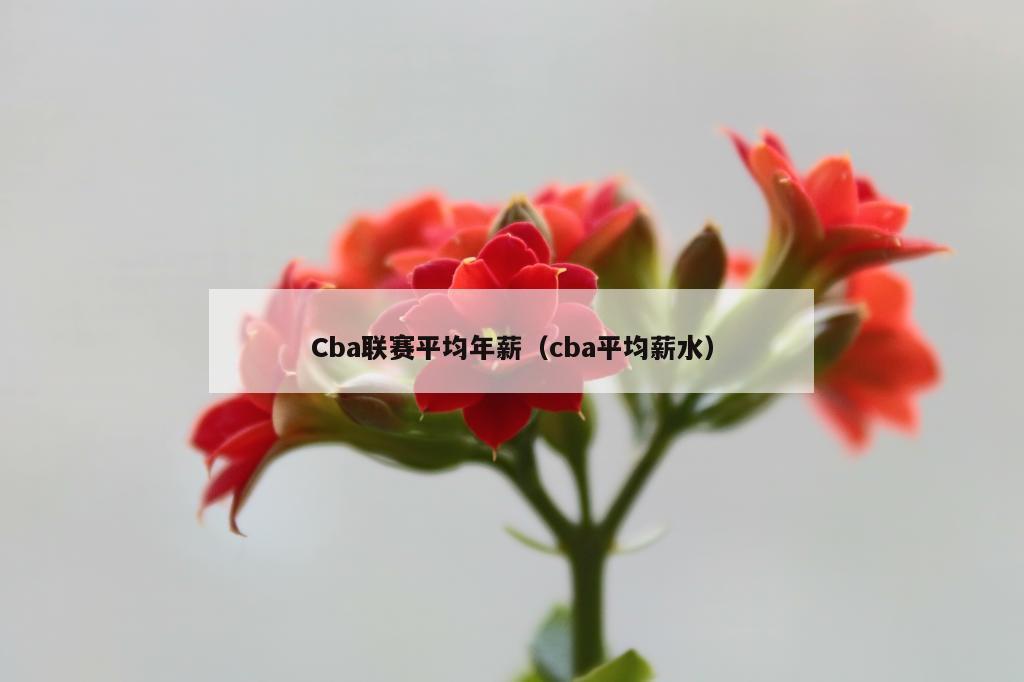 Cba联赛平均年薪（cba平均薪水）