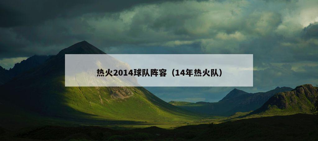 热火2014球队阵容（14年热火队）