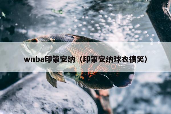 wnba印第安纳（印第安纳球衣搞笑）