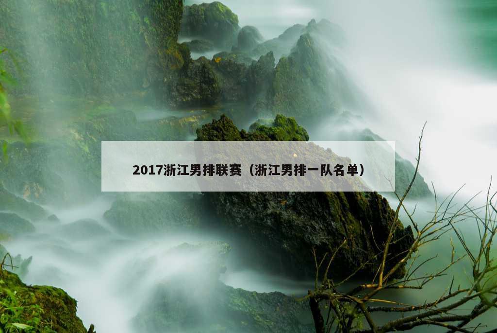 2017浙江男排联赛（浙江男排一队名单）