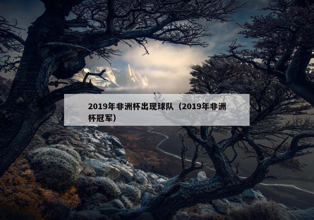 2019年非洲杯出现球队（2019年非洲杯冠军）