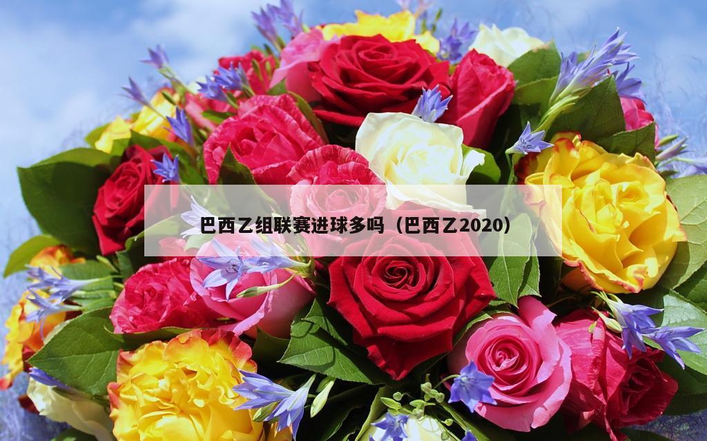 巴西乙组联赛进球多吗（巴西乙2020）