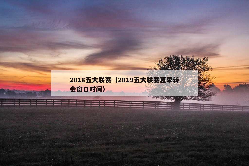 2018五大联赛（2019五大联赛夏季转会窗口时间）