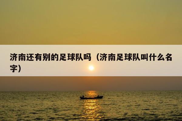 济南还有别的足球队吗（济南足球队叫什么名字）