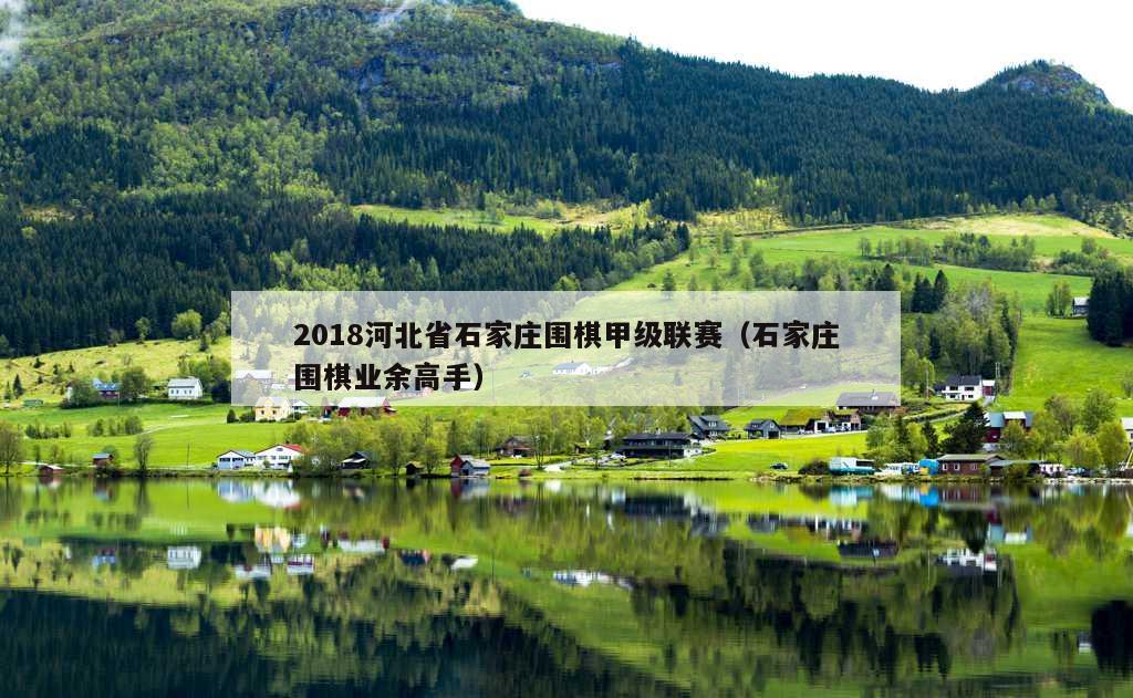 2018河北省石家庄围棋甲级联赛（石家庄围棋业余高手）