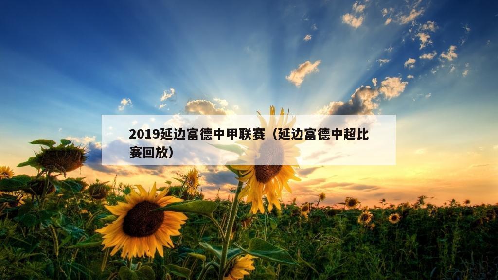 2019延边富德中甲联赛（延边富德中超比赛回放）