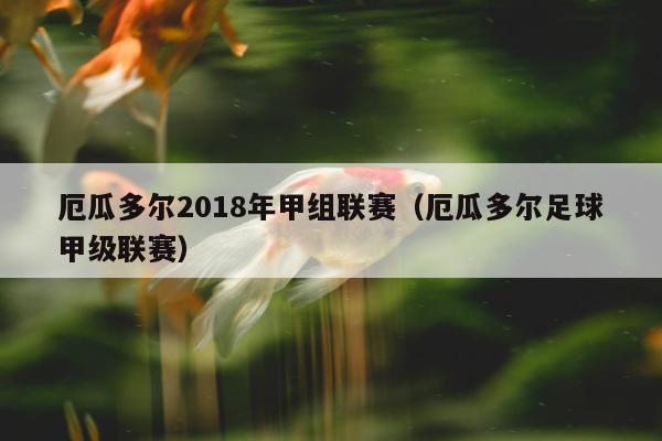 厄瓜多尔2018年甲组联赛（厄瓜多尔足球甲级联赛）