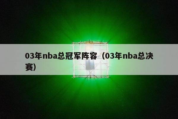 03年nba总冠军阵容（03年nba总决赛）