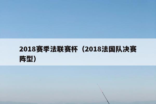 2018赛季法联赛杯（2018法国队决赛阵型）