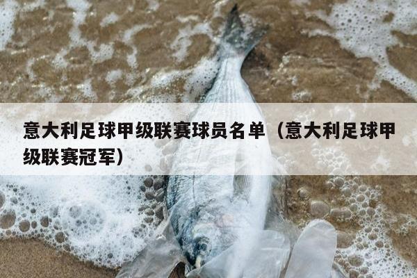 意大利足球甲级联赛球员名单（意大利足球甲级联赛冠军）