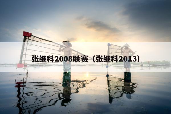 张继科2008联赛（张继科2013）