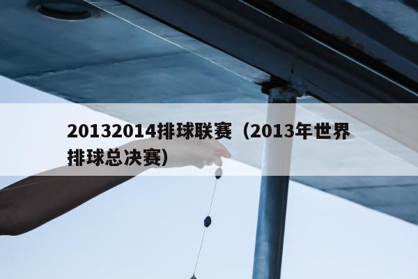 20132014排球联赛（2013年世界排球总决赛）