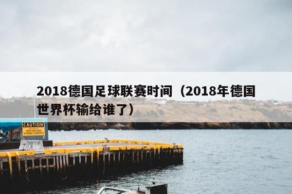 2018德国足球联赛时间（2018年德国世界杯输给谁了）