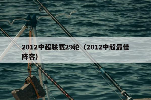 2012中超联赛29轮（2012中超最佳阵容）