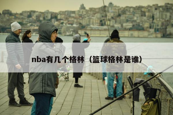 nba有几个格林（篮球格林是谁）