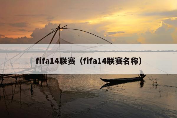fifa14联赛（fifa14联赛名称）