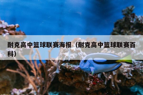 耐克高中篮球联赛海报（耐克高中篮球联赛百科）