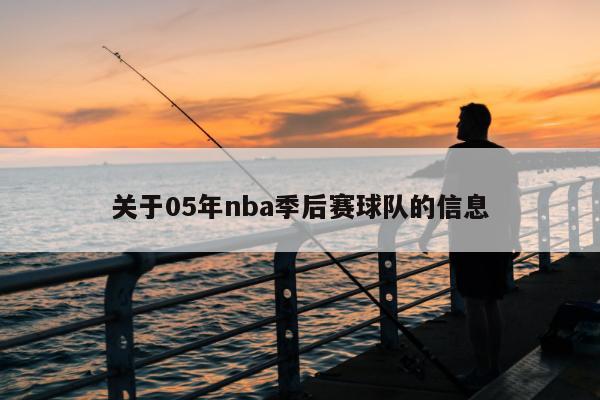 关于05年nba季后赛球队的信息