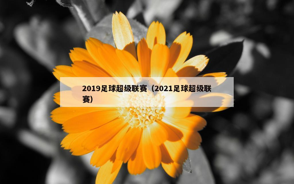 2019足球超级联赛（2021足球超级联赛）