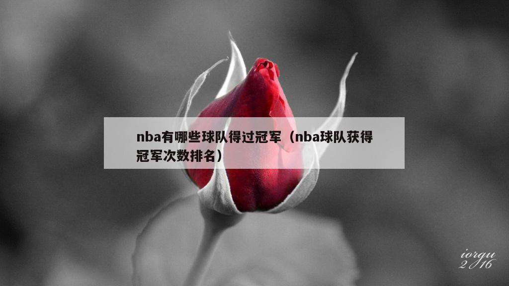 nba有哪些球队得过冠军（nba球队获得冠军次数排名）