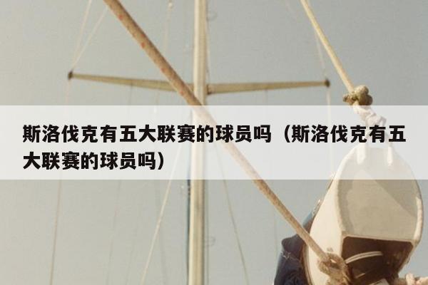 斯洛伐克有五大联赛的球员吗（斯洛伐克有五大联赛的球员吗）