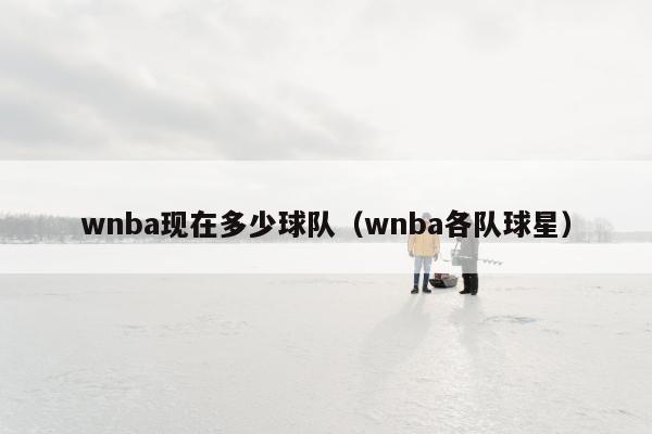 wnba现在多少球队（wnba各队球星）